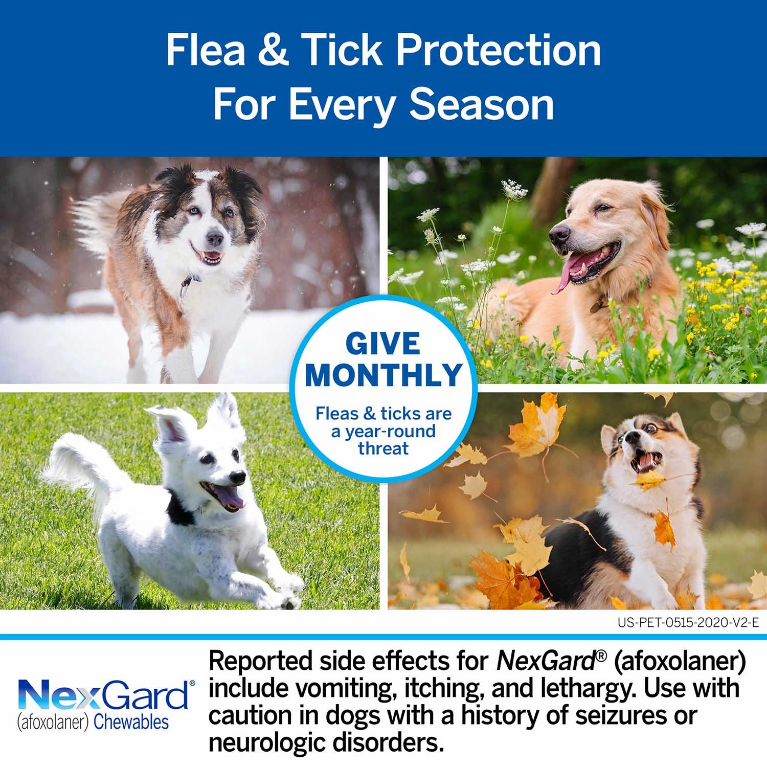NexGard Flea and Tick Chewables for Dogs