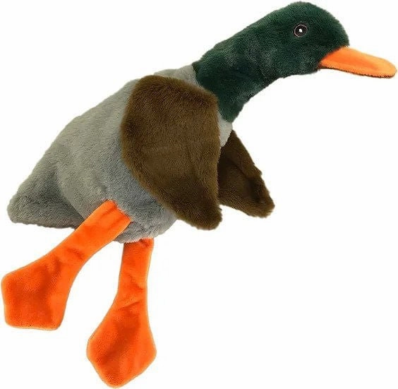 No Stuffies by Petsport