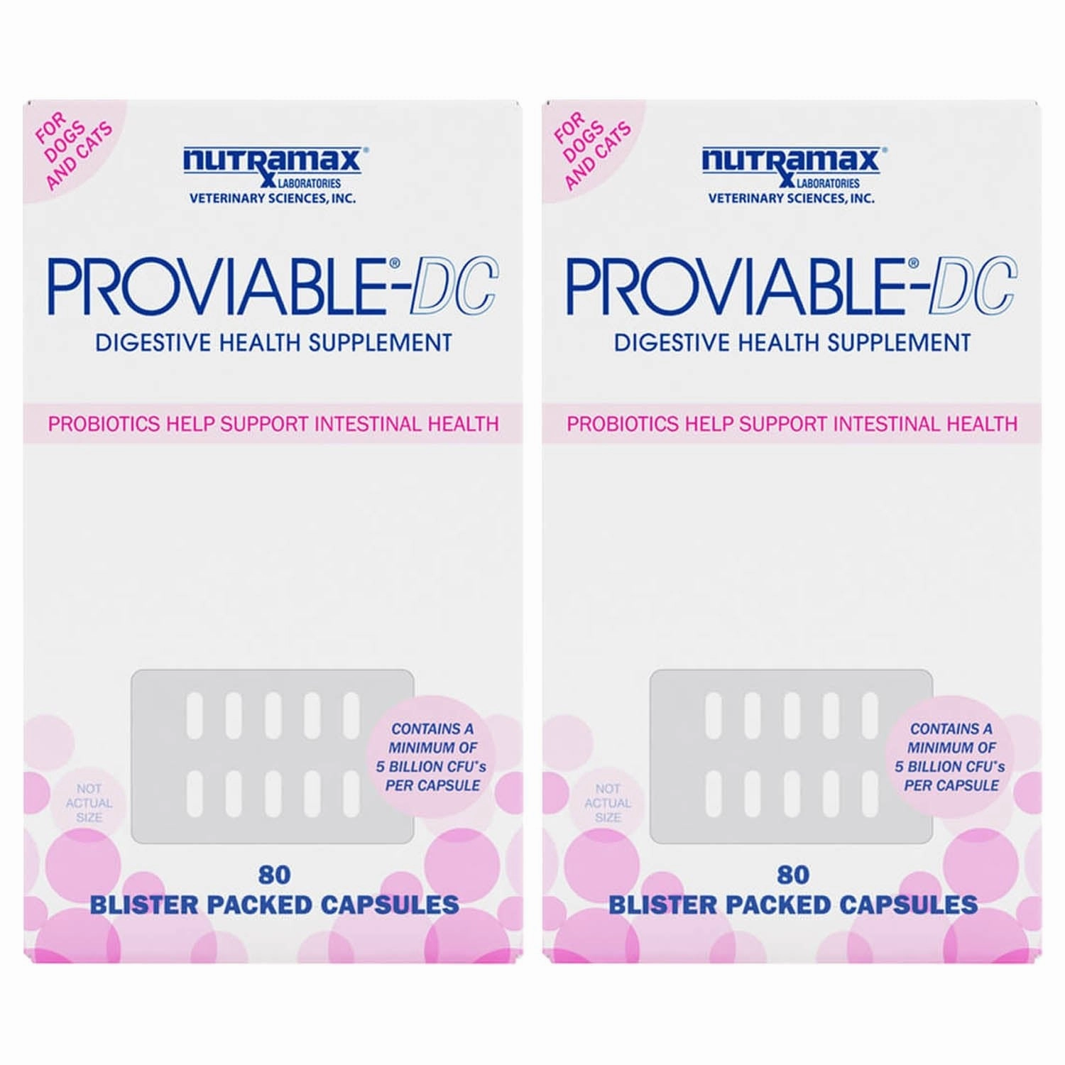 Nutramax Proviable-DC for Dogs & Cats