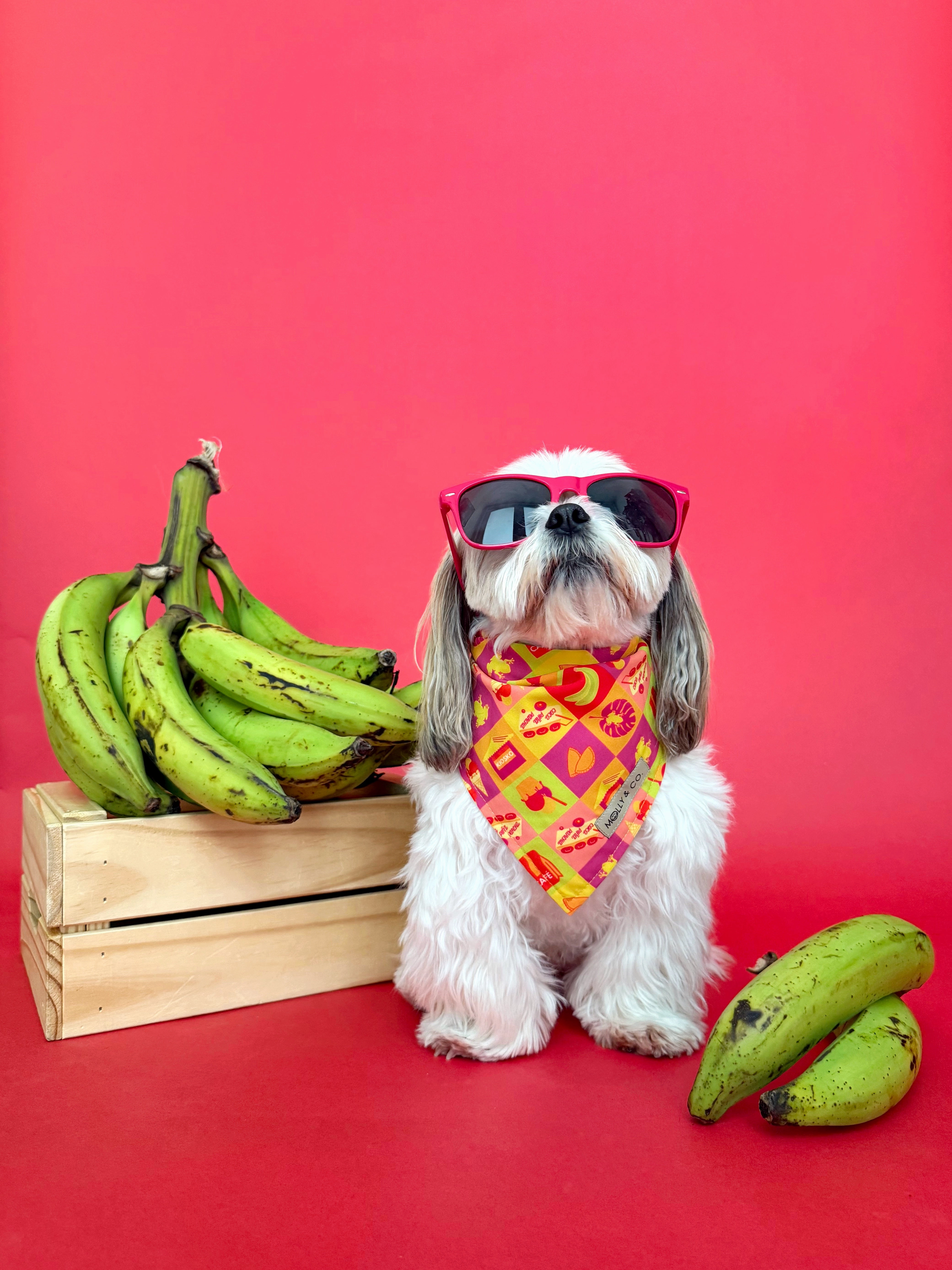 Pe Erre - Reversible Dog Bandana