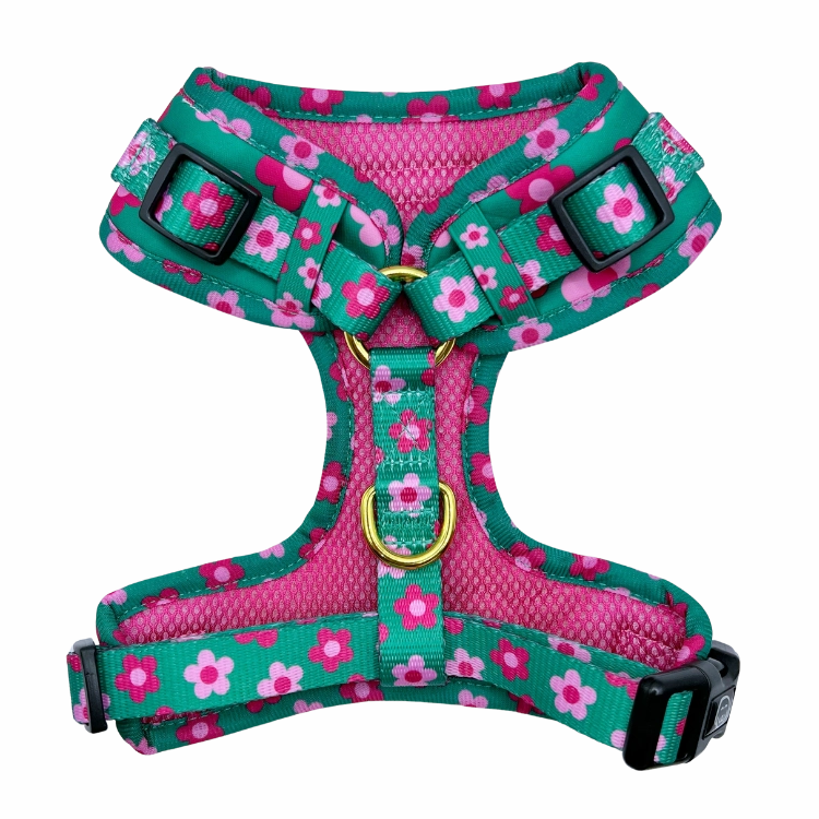 Petunia - Adjustable Dog Harness