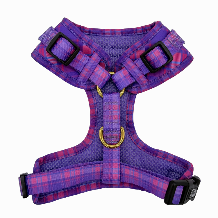 Pinkberry Plaid - Adjustable Dog Harness