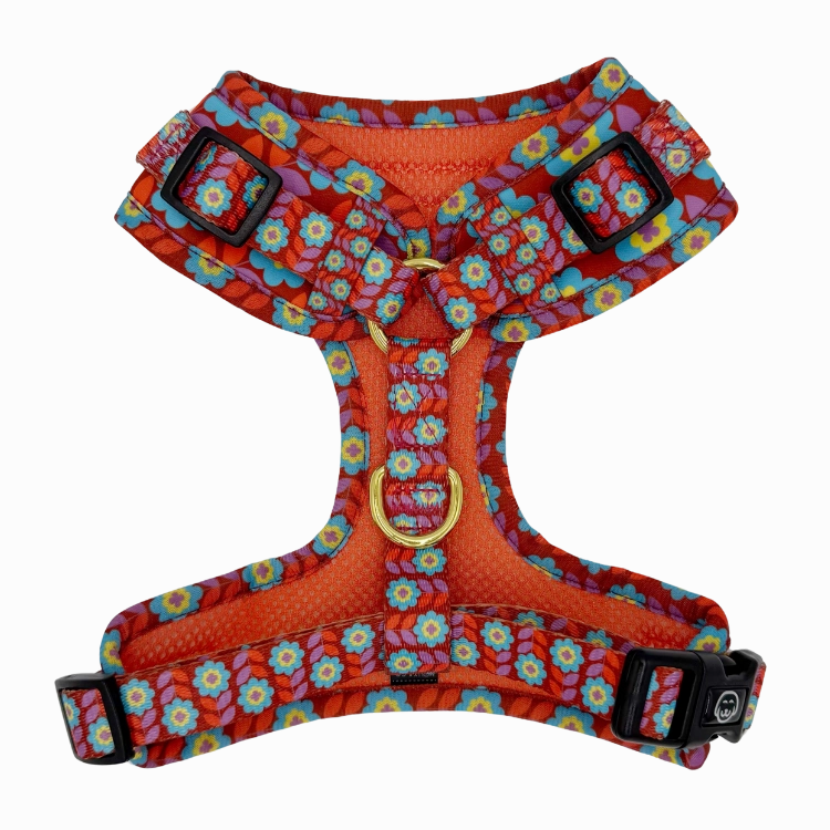 Poppy - Adjustable Dog Harness