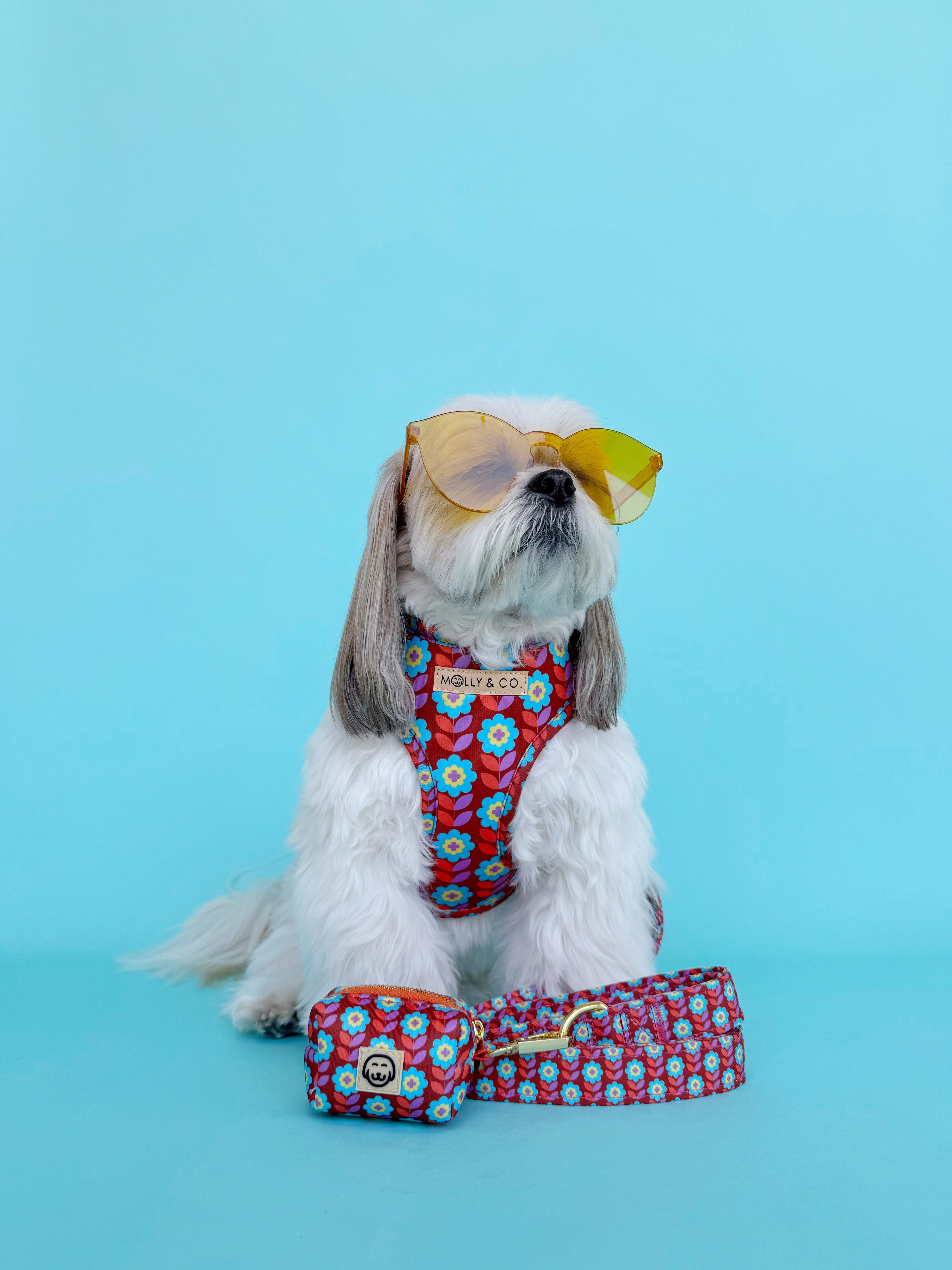 Poppy - Adjustable Dog Harness