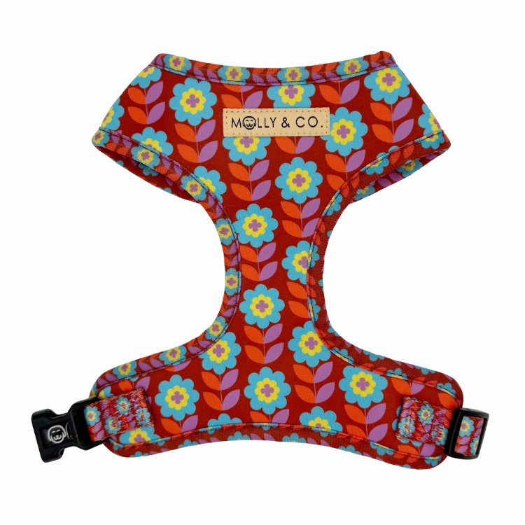 Poppy - Adjustable Dog Harness