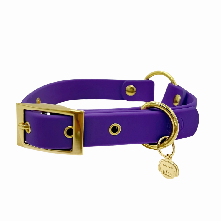 Purple Haze - Splashproof Dog Collar
