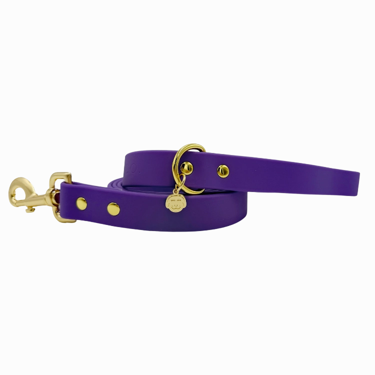 Purple Haze - Splashproof Dog Leash