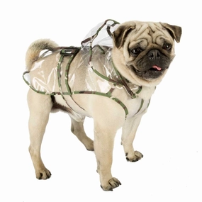 RAINCOAT