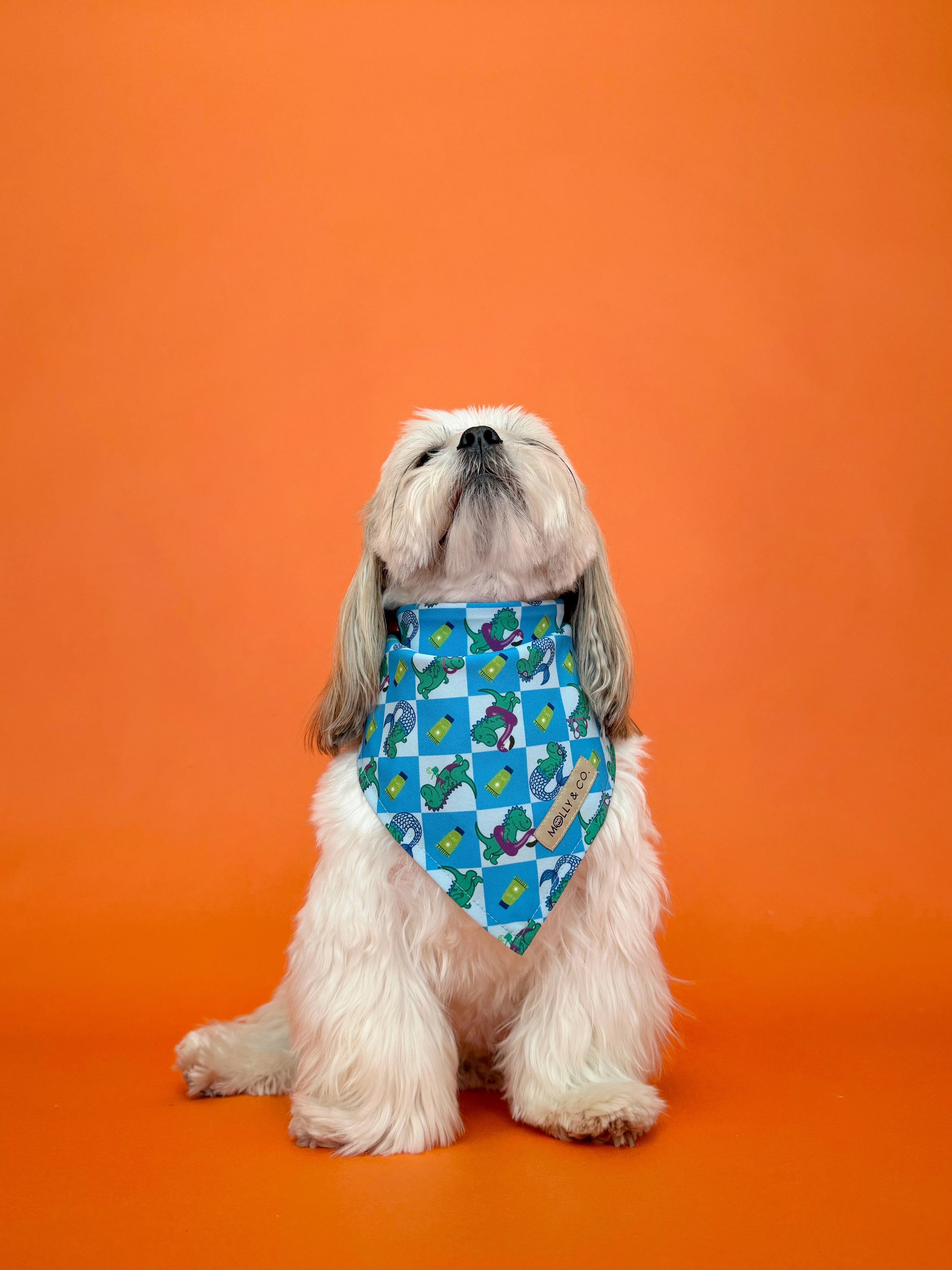 Rex in Paradise - Reversible Dog Bandana