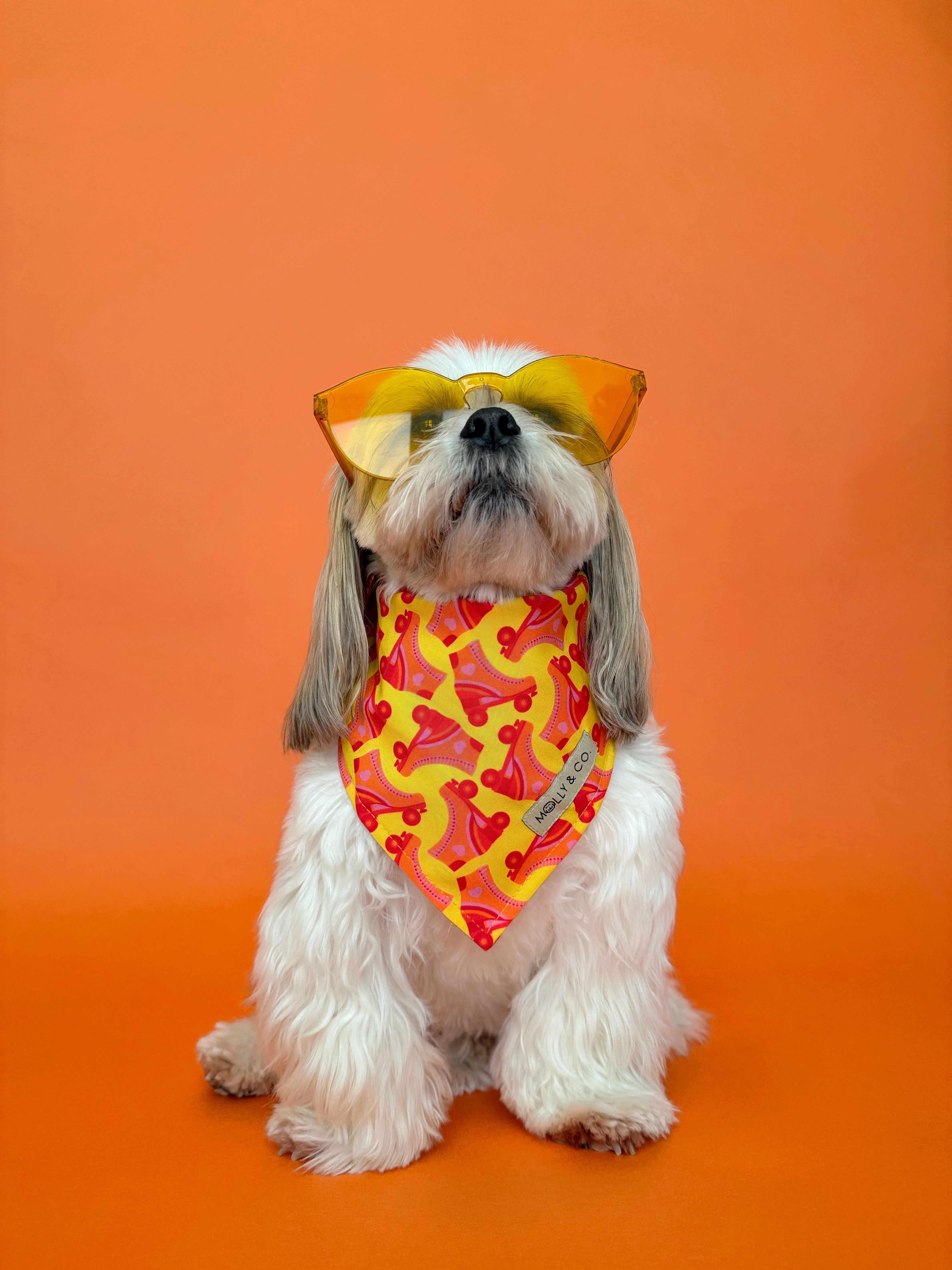 Roller Skate - Reversible Dog Bandana