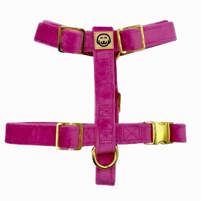 Rose Velvet - Adjustable Strap Dog Harness