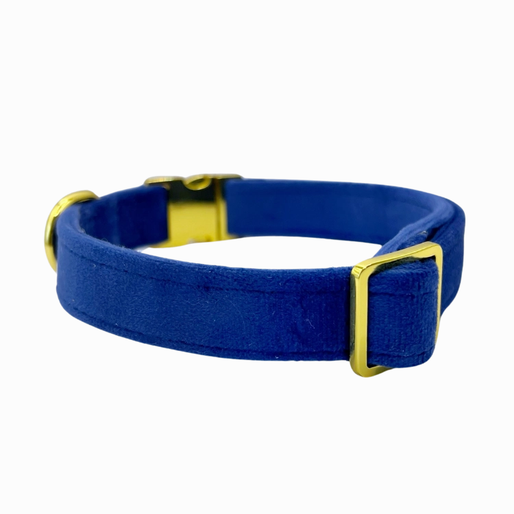 Royal Velvet - Dog Collar