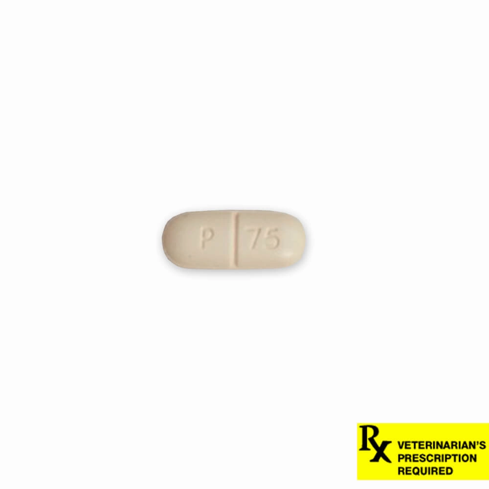 Rx Carprofen (carprofen) Caplets for Dogs