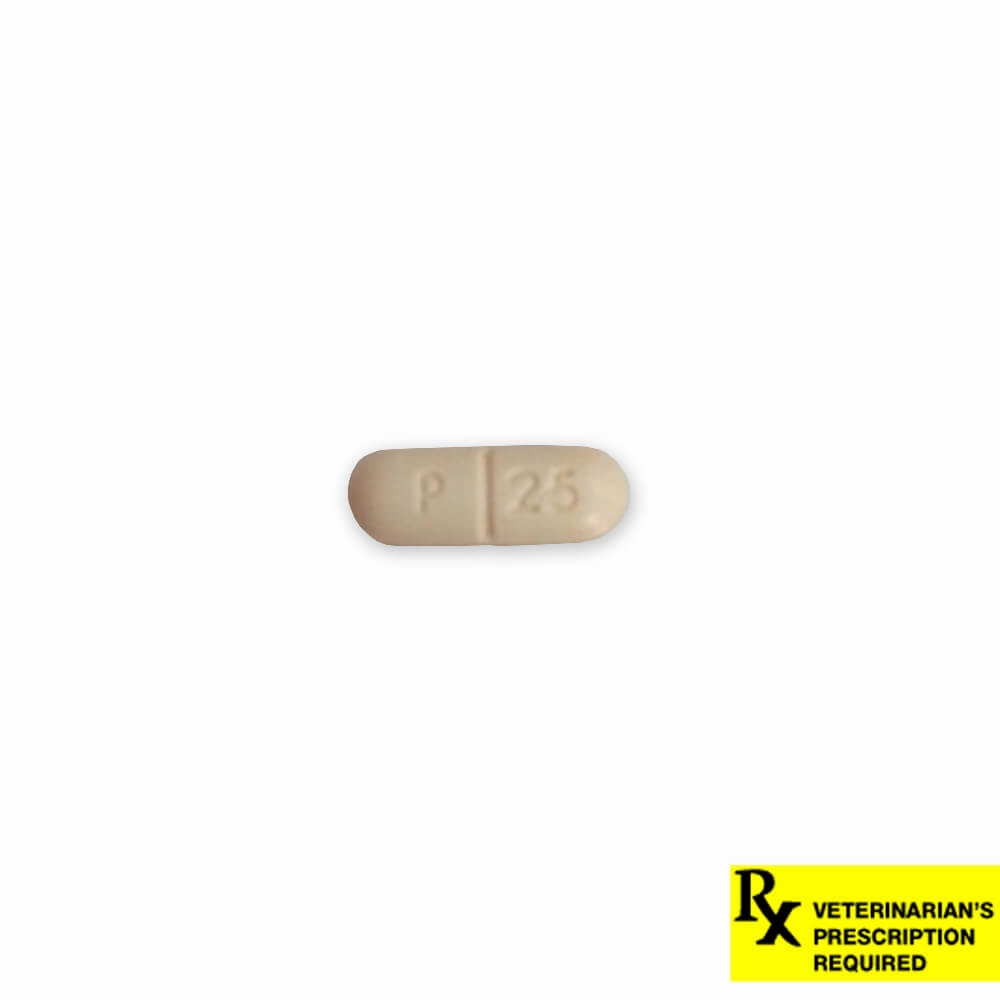 Rx Carprofen (carprofen) Caplets for Dogs