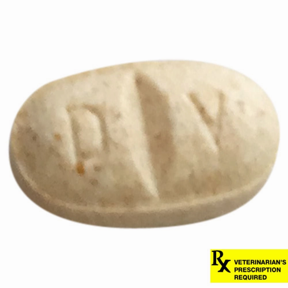 Rx Clomicalm (Clomipramine HCl) Tablets for Dogs