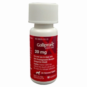 Rx Galliprant (Grapiprant) Tablets for Dogs