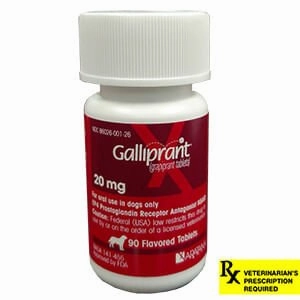 Rx Galliprant (Grapiprant) Tablets for Dogs