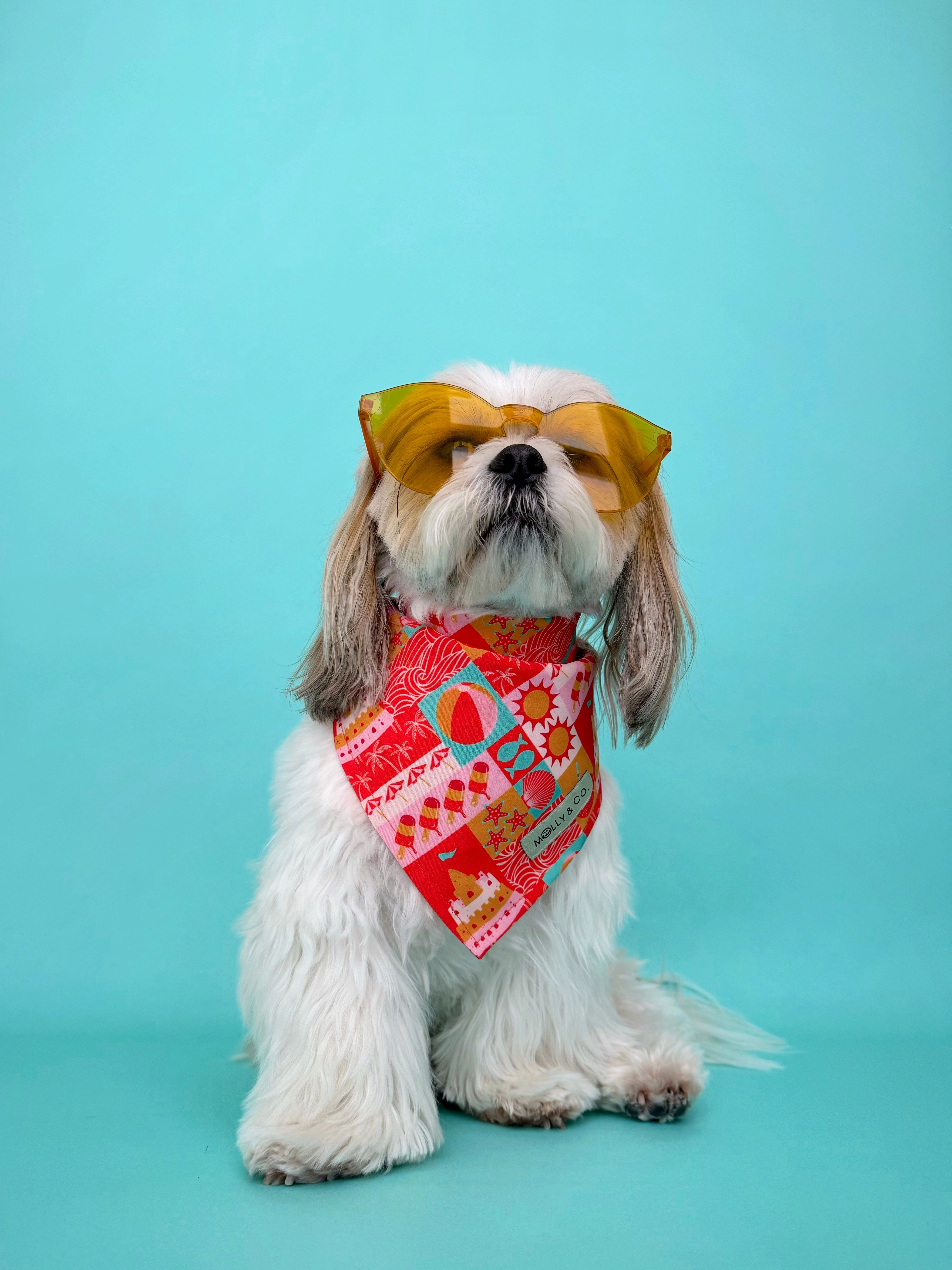 Sandbar - Dog Bandana
