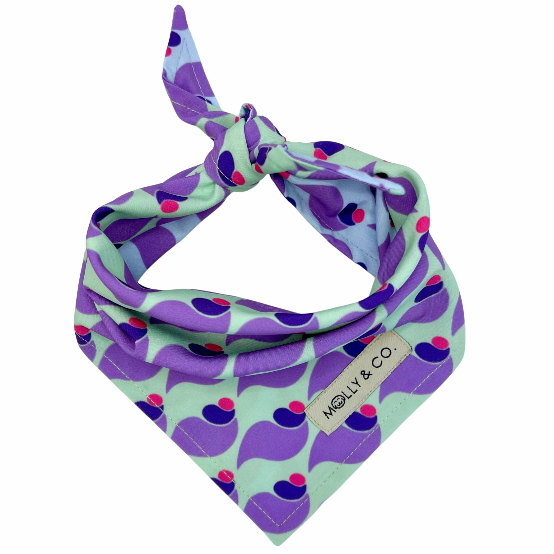Sandy - Dog Bandana