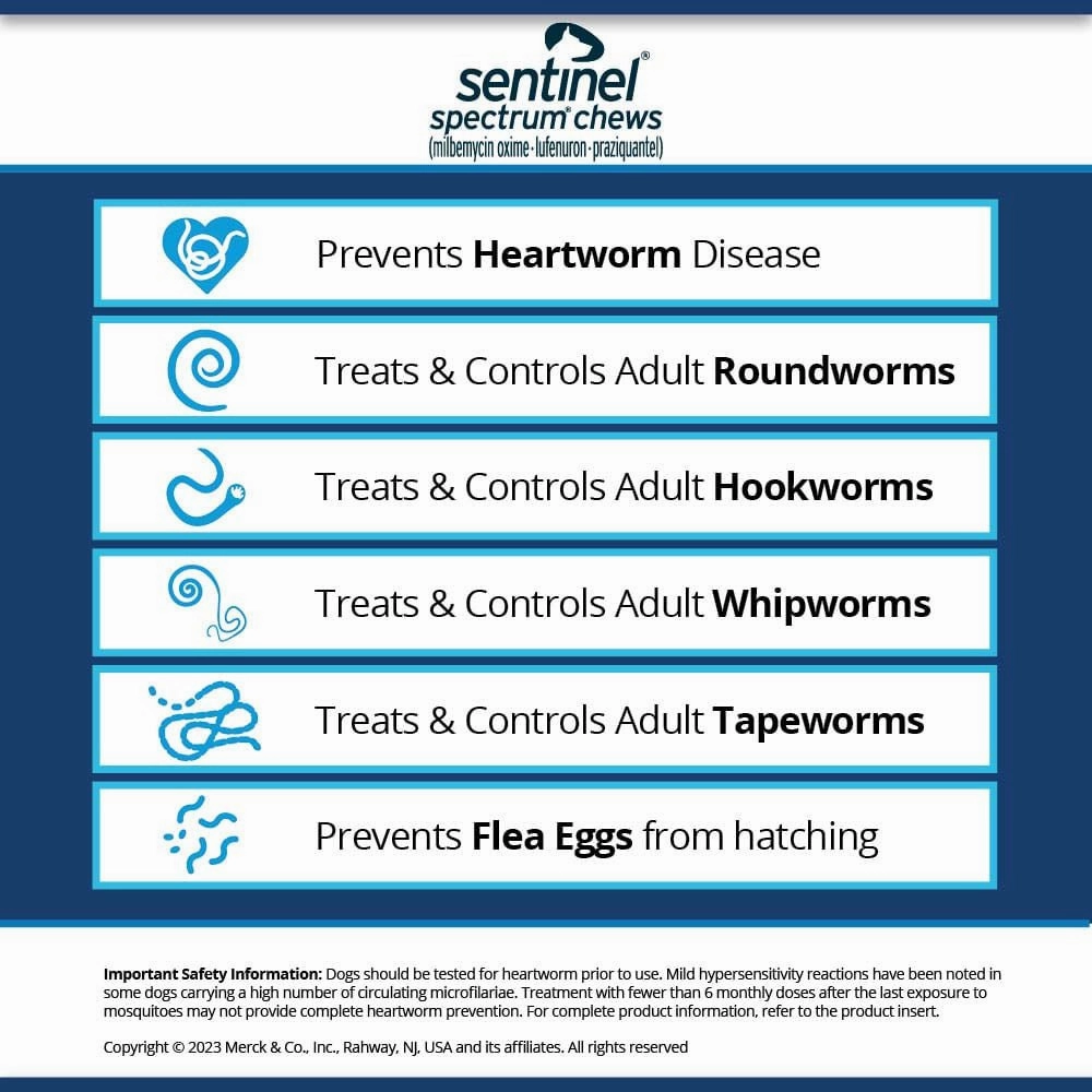 Sentinel Spectrum Chews for Dogs, 6 Chews