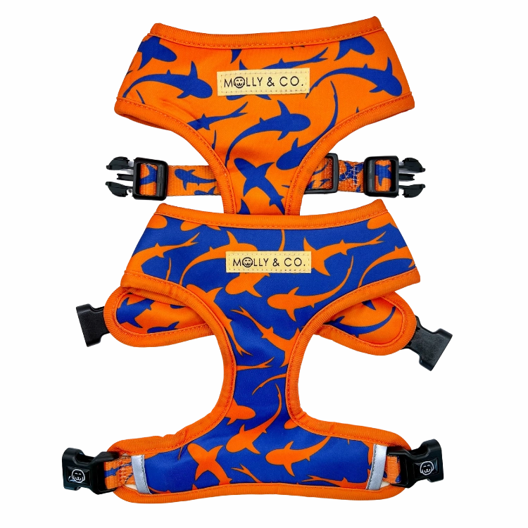Sharks - Reversible Dog Harness