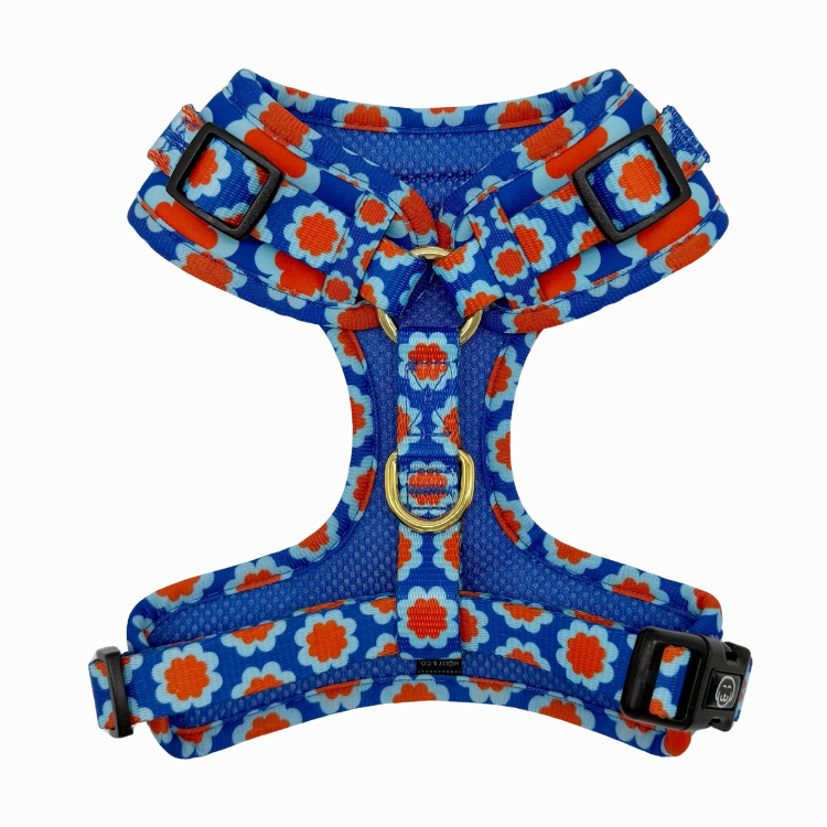 Sorrento - Adjustable Dog Harness
