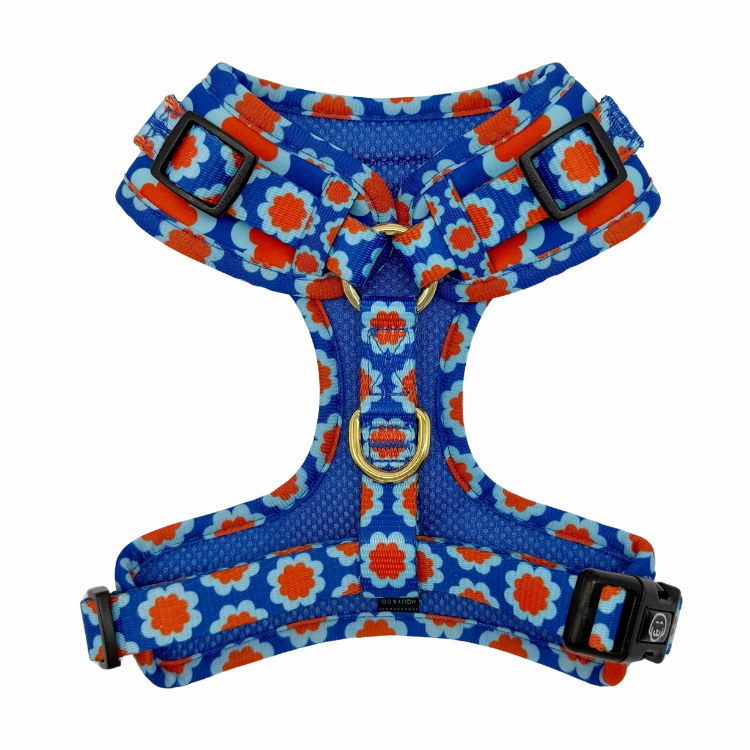 Sorrento - Adjustable Dog Harness