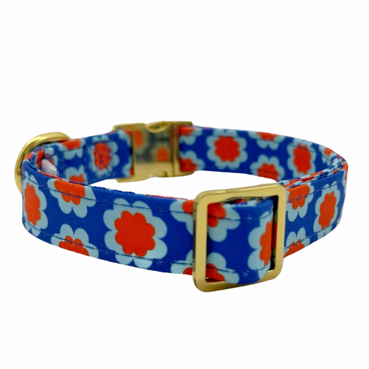 Sorrento - Dog Collar