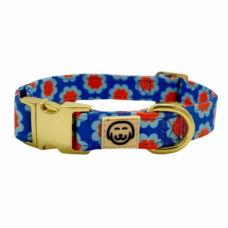 Sorrento - Dog Collar