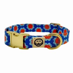 Sorrento - Dog Collar
