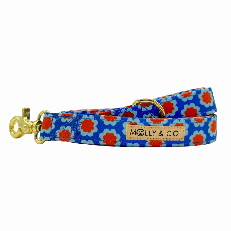 Sorrento - Dog Leash