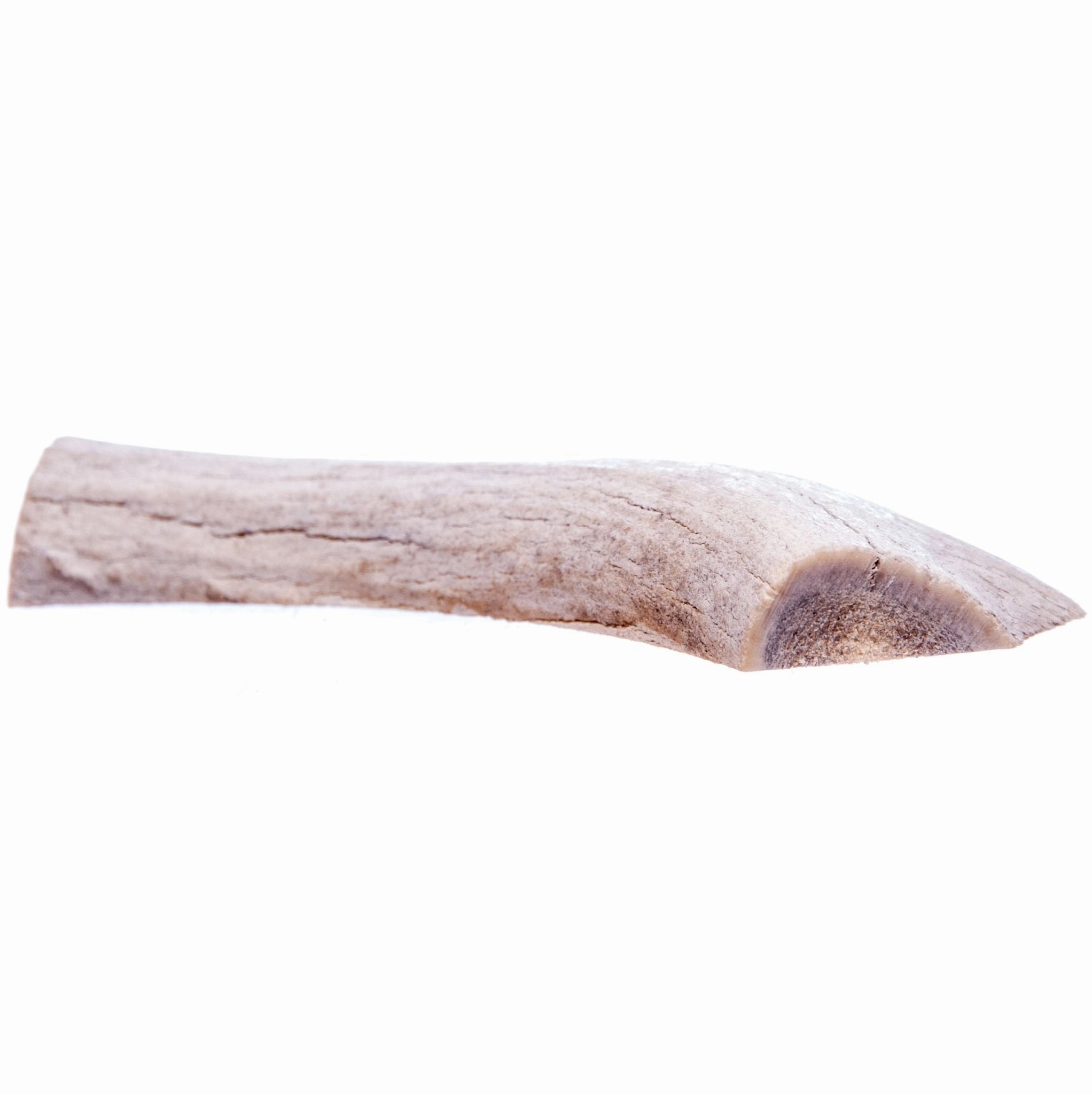 Split Antlerz (The Trew)