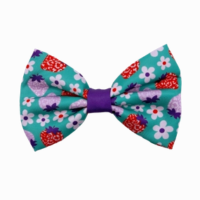 Strawberry - Dog Bowtie
