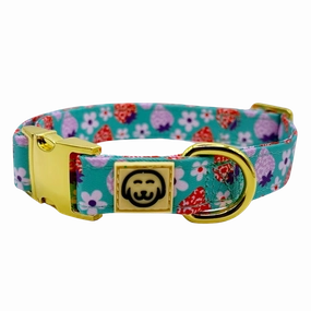Strawberry - Dog Collar