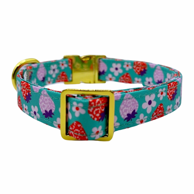 Strawberry - Dog Collar