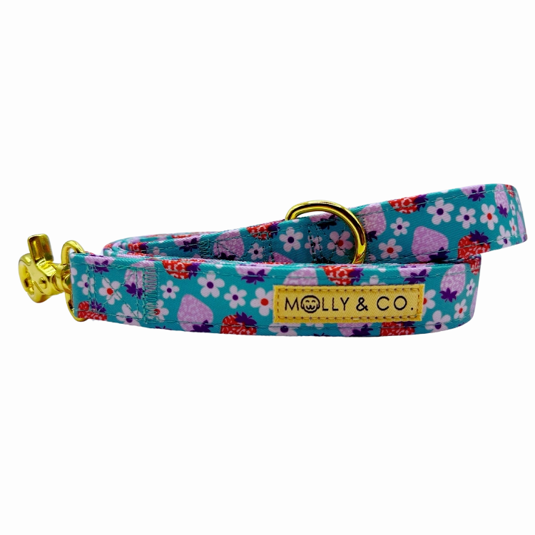 Strawberry - Dog Leash