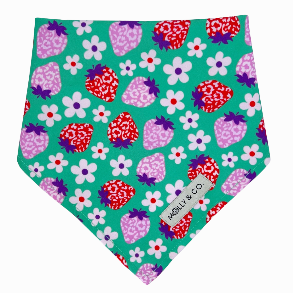 Strawberry - Reversible Dog Bandana
