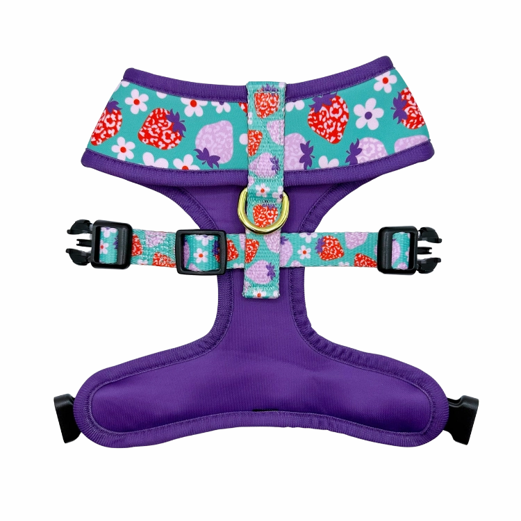 Strawberry - Reversible Dog Harness