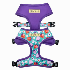 Strawberry - Reversible Dog Harness