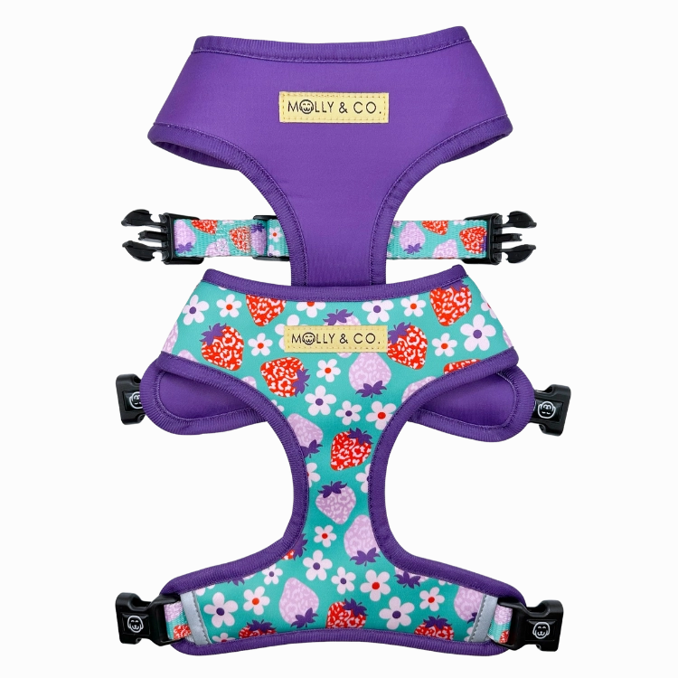 Strawberry - Walking Bundle