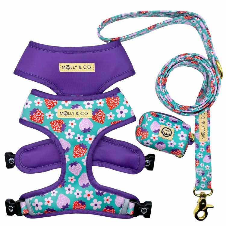 Strawberry - Walking Bundle