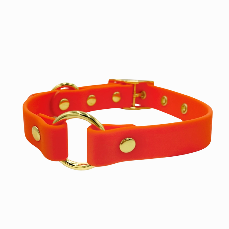 Sunburst - Splashproof Dog Collar