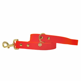 Sunburst - Splashproof Dog Leash