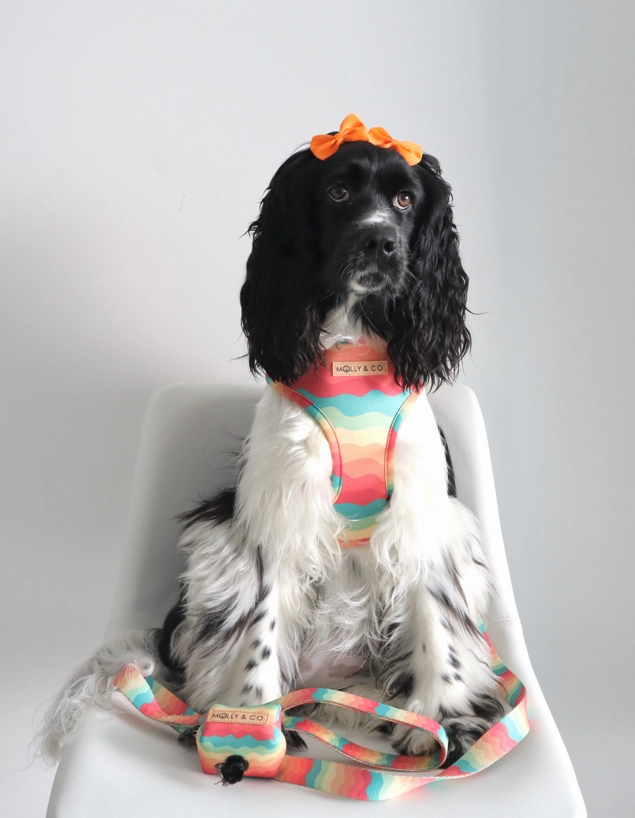 Sunset Paws - Reversible Dog Harness - FINAL SALE