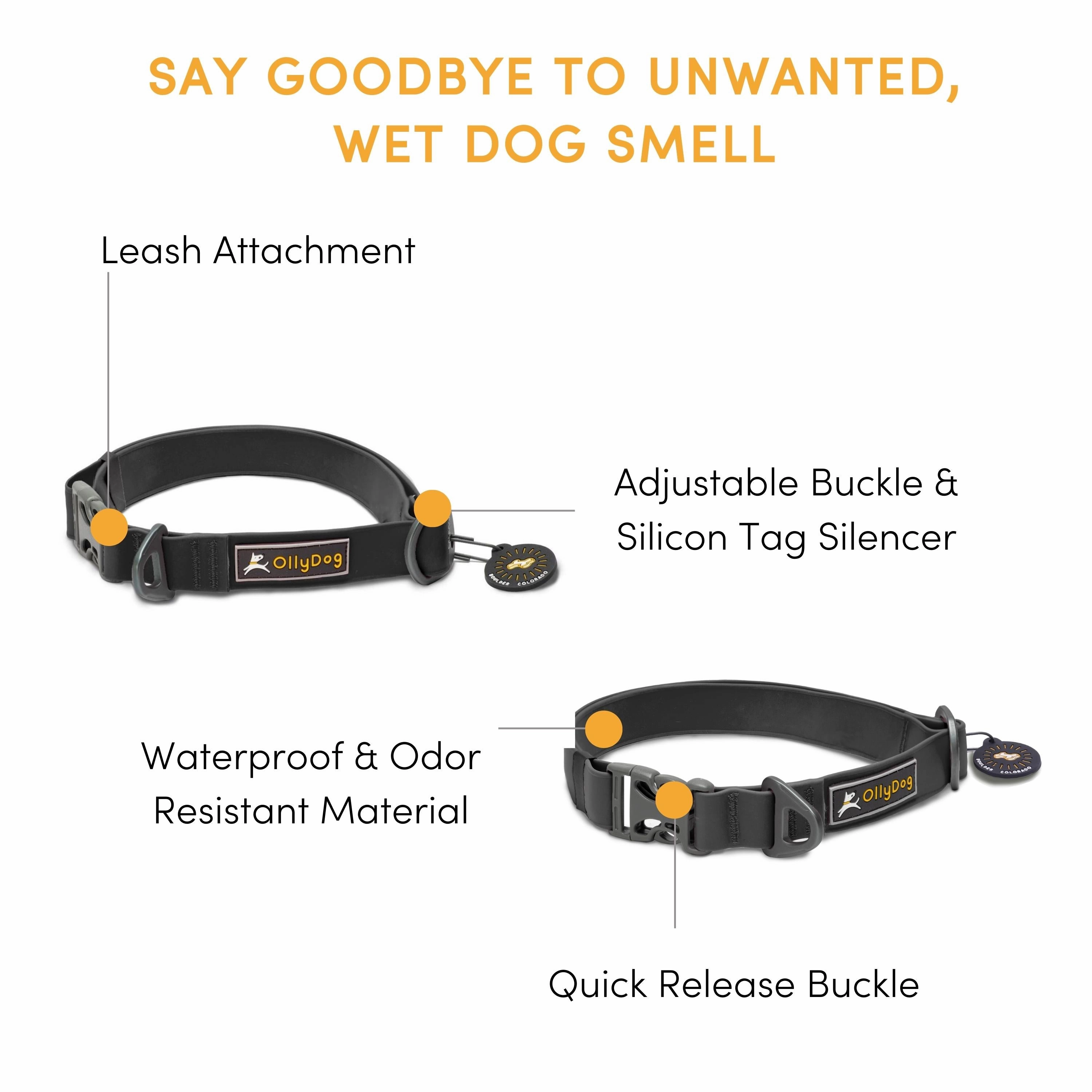 Tilden Waterproof Collar | Waterproof Dog Collar