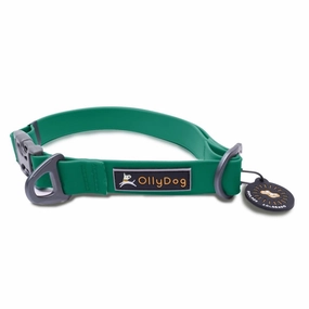 Tilden Waterproof Collar | Waterproof Dog Collar