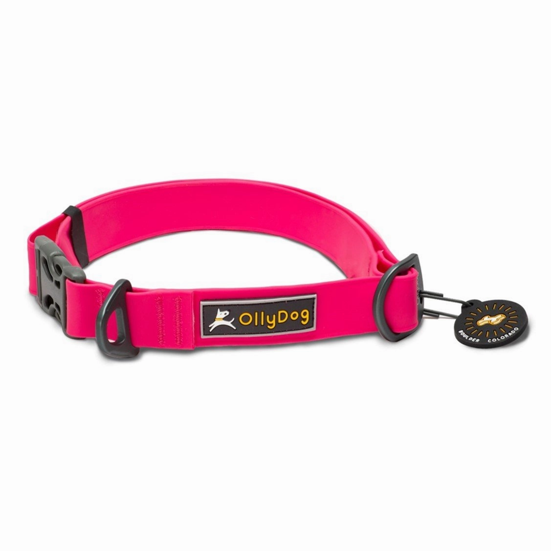 Tilden Waterproof Collar | Waterproof Dog Collar