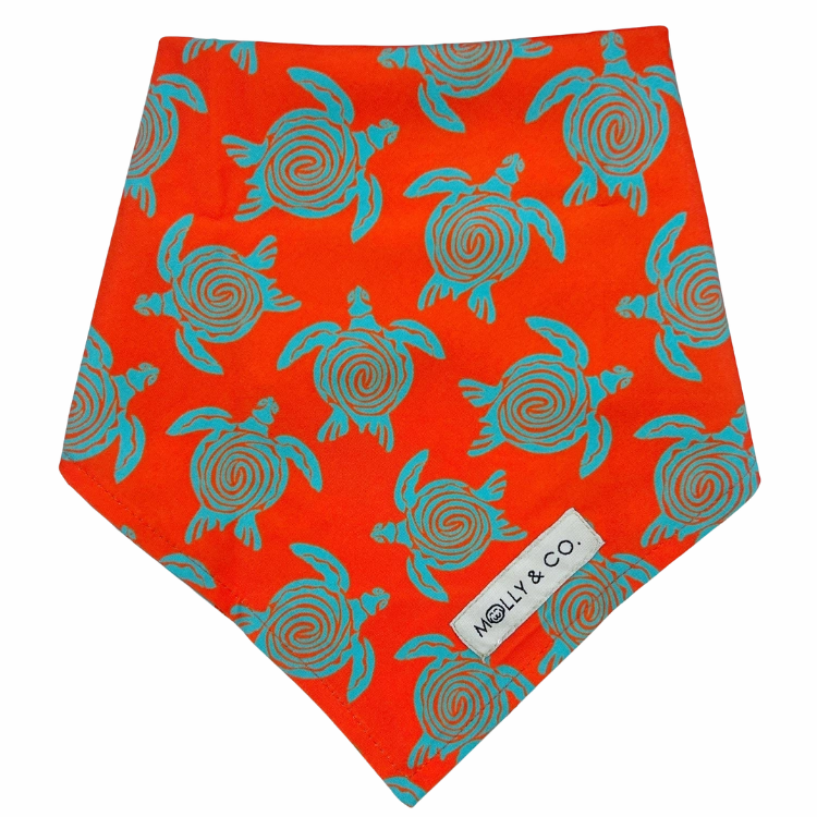 Turtle Trails - Reversible Dog Bandana