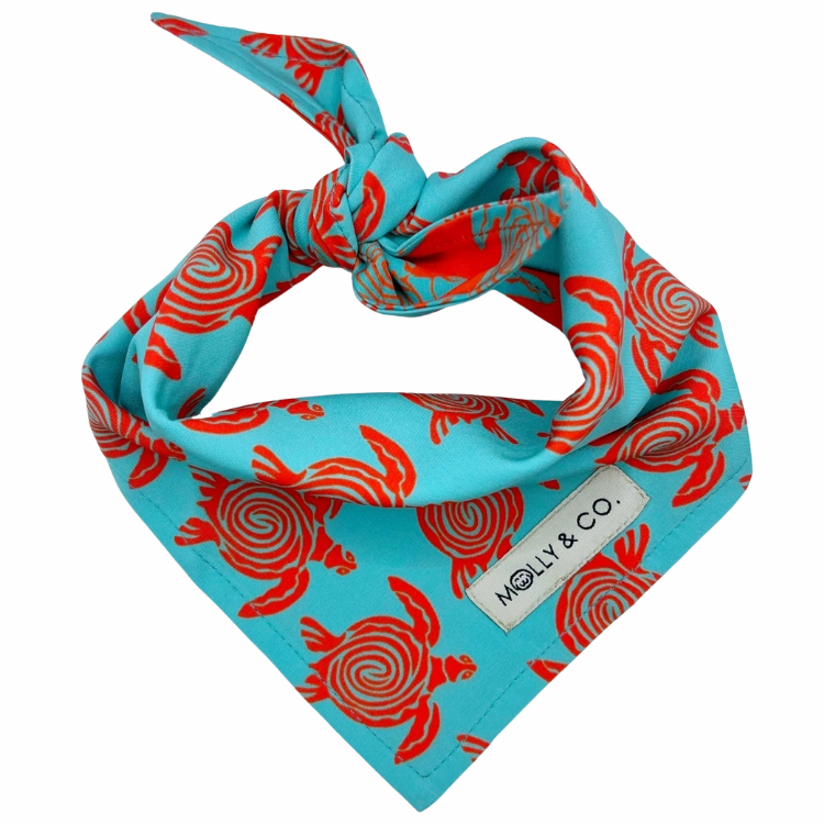 Turtle Trails - Reversible Dog Bandana
