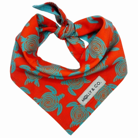 Turtle Trails - Reversible Dog Bandana